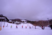 DSCF0731