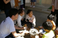 IMGP5203