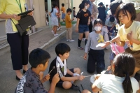 IMGP5208