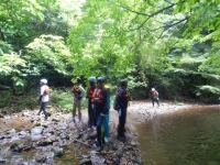 DSCN0212