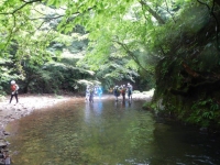 DSCN0213