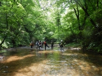 DSCN0239