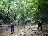 DSCN0241