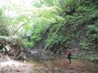 DSCN0243