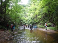 DSCN0261