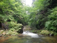 DSCN0266