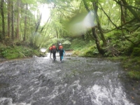 DSCN0282