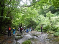 DSCN0300