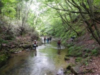 DSCN0304